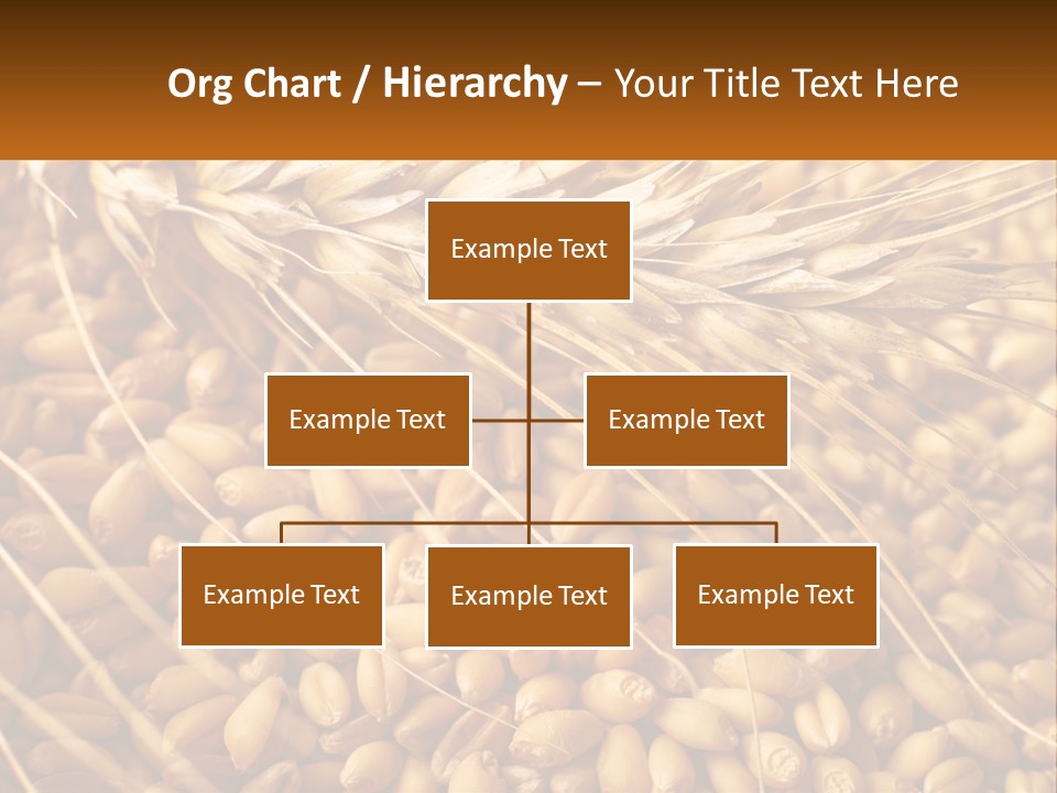 A Pile Of Wheat With The Words Name Of Presentation On It PowerPoint Template