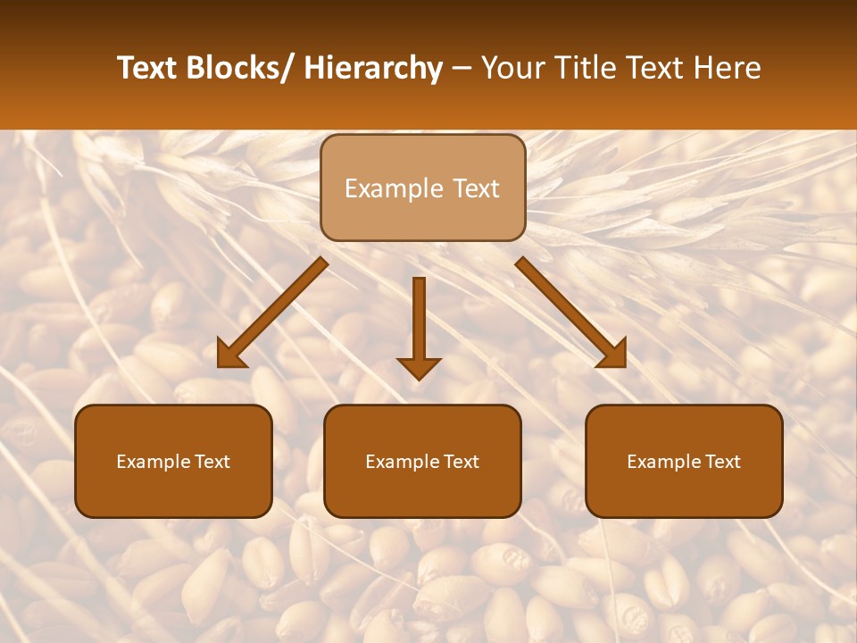 A Pile Of Wheat With The Words Name Of Presentation On It PowerPoint Template