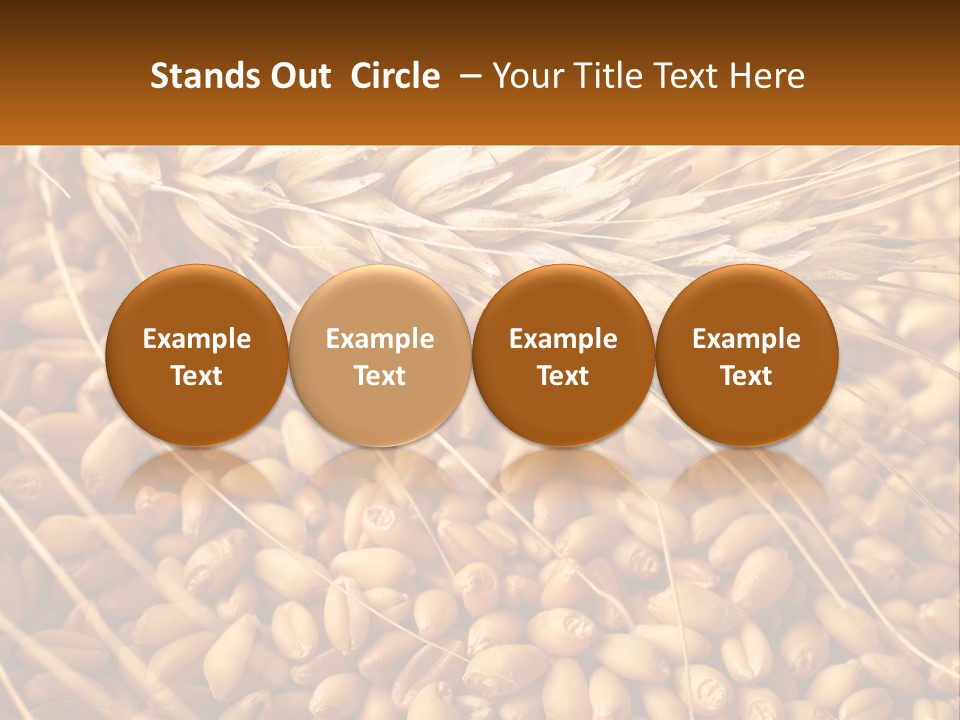 A Pile Of Wheat With The Words Name Of Presentation On It PowerPoint Template