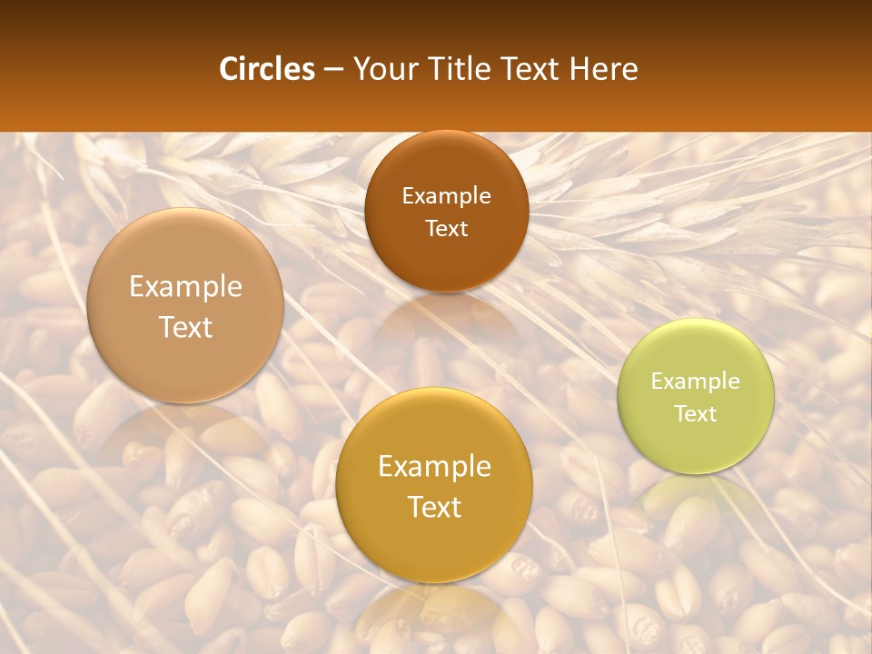 A Pile Of Wheat With The Words Name Of Presentation On It PowerPoint Template