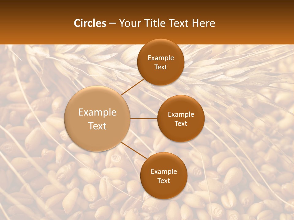 A Pile Of Wheat With The Words Name Of Presentation On It PowerPoint Template
