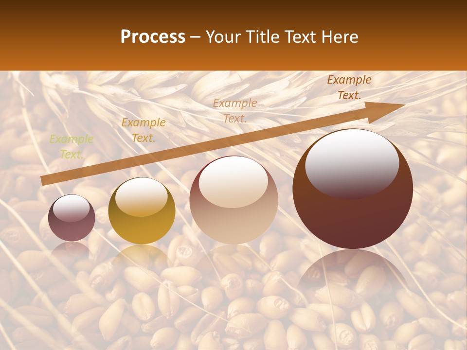 A Pile Of Wheat With The Words Name Of Presentation On It PowerPoint Template