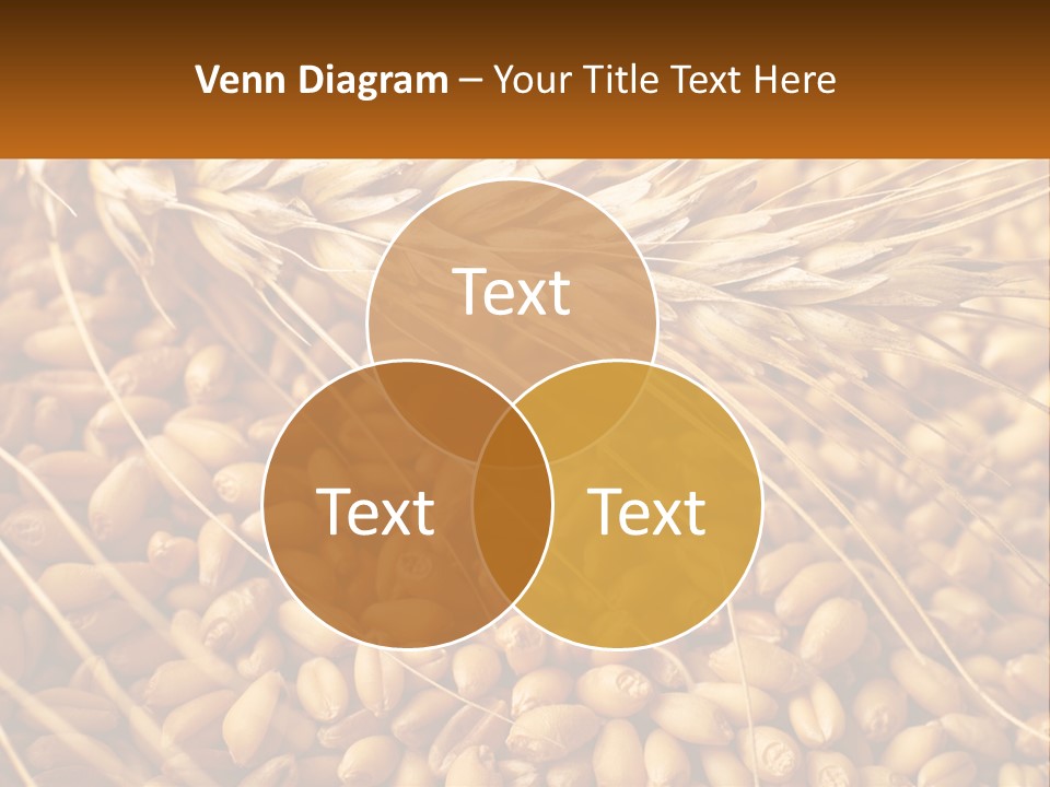 A Pile Of Wheat With The Words Name Of Presentation On It PowerPoint Template
