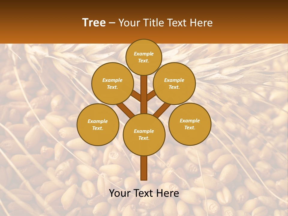 A Pile Of Wheat With The Words Name Of Presentation On It PowerPoint Template