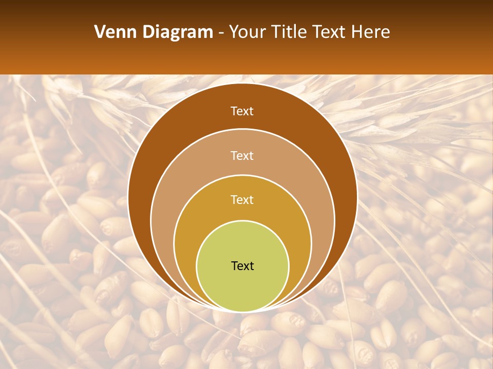 A Pile Of Wheat With The Words Name Of Presentation On It PowerPoint Template