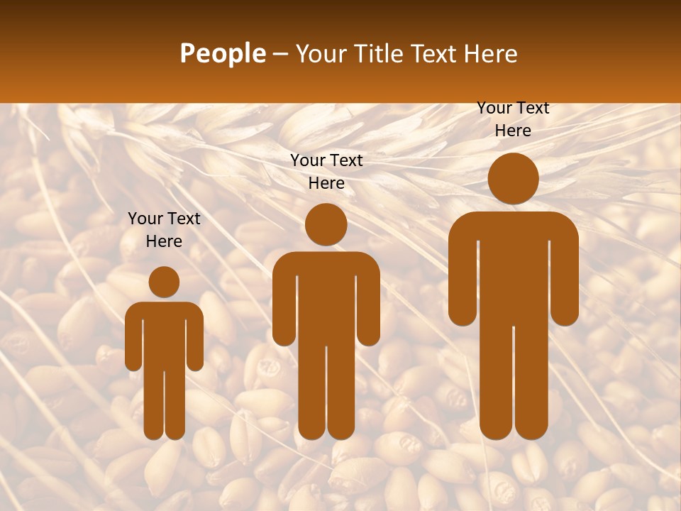 A Pile Of Wheat With The Words Name Of Presentation On It PowerPoint Template