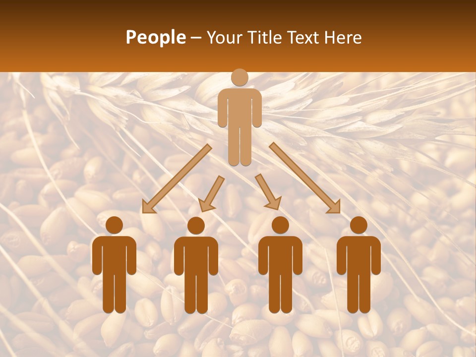 A Pile Of Wheat With The Words Name Of Presentation On It PowerPoint Template