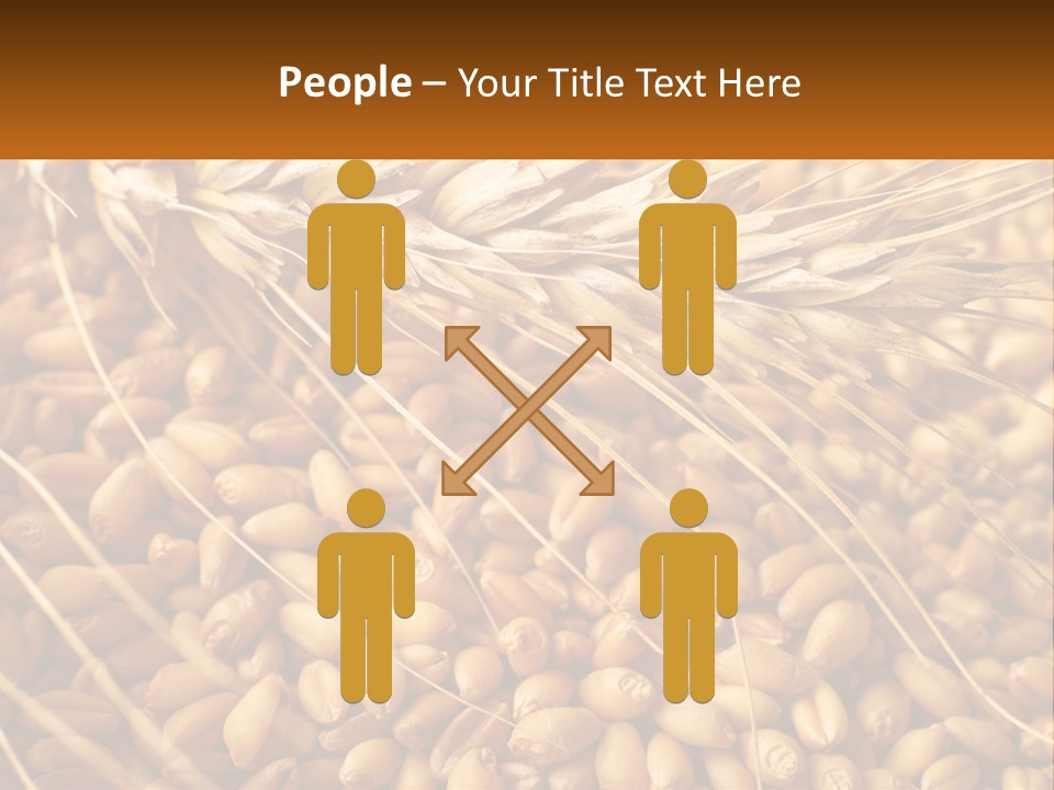 A Pile Of Wheat With The Words Name Of Presentation On It PowerPoint Template