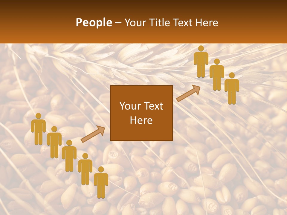 A Pile Of Wheat With The Words Name Of Presentation On It PowerPoint Template
