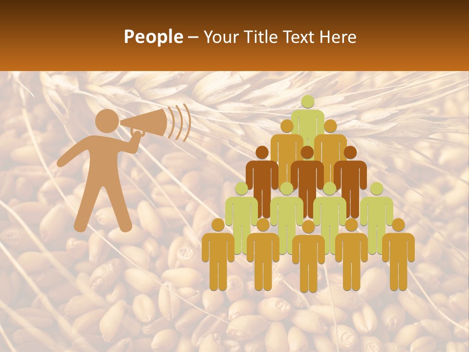 A Pile Of Wheat With The Words Name Of Presentation On It PowerPoint Template