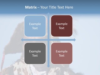 A Man Wearing A Hat With Feathers On It PowerPoint Template