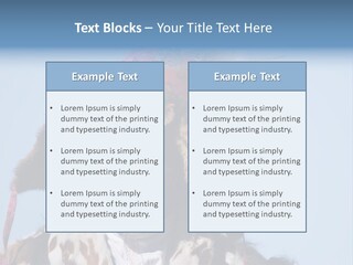 A Man Wearing A Hat With Feathers On It PowerPoint Template