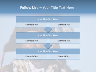 A Man Wearing A Hat With Feathers On It PowerPoint Template