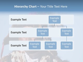 A Man Wearing A Hat With Feathers On It PowerPoint Template
