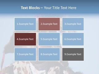 A Man Wearing A Hat With Feathers On It PowerPoint Template