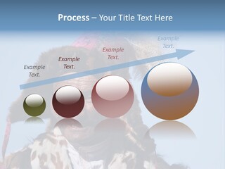 A Man Wearing A Hat With Feathers On It PowerPoint Template