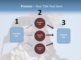 A Man Wearing A Hat With Feathers On It PowerPoint Template