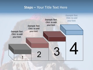 A Man Wearing A Hat With Feathers On It PowerPoint Template