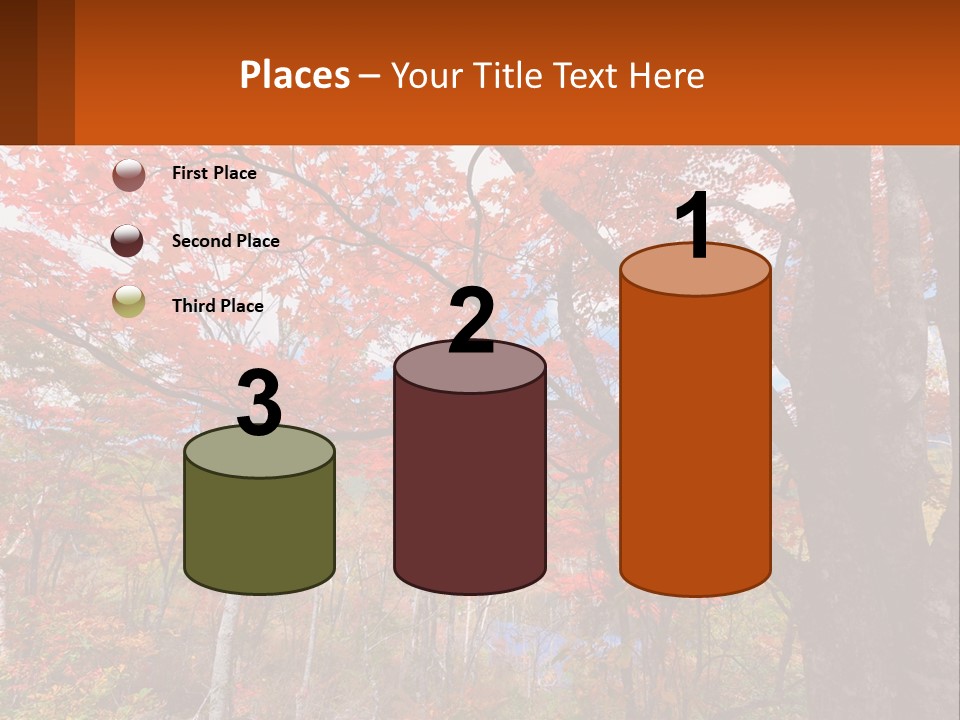 A Tree With Red Leaves In A Forest PowerPoint Template