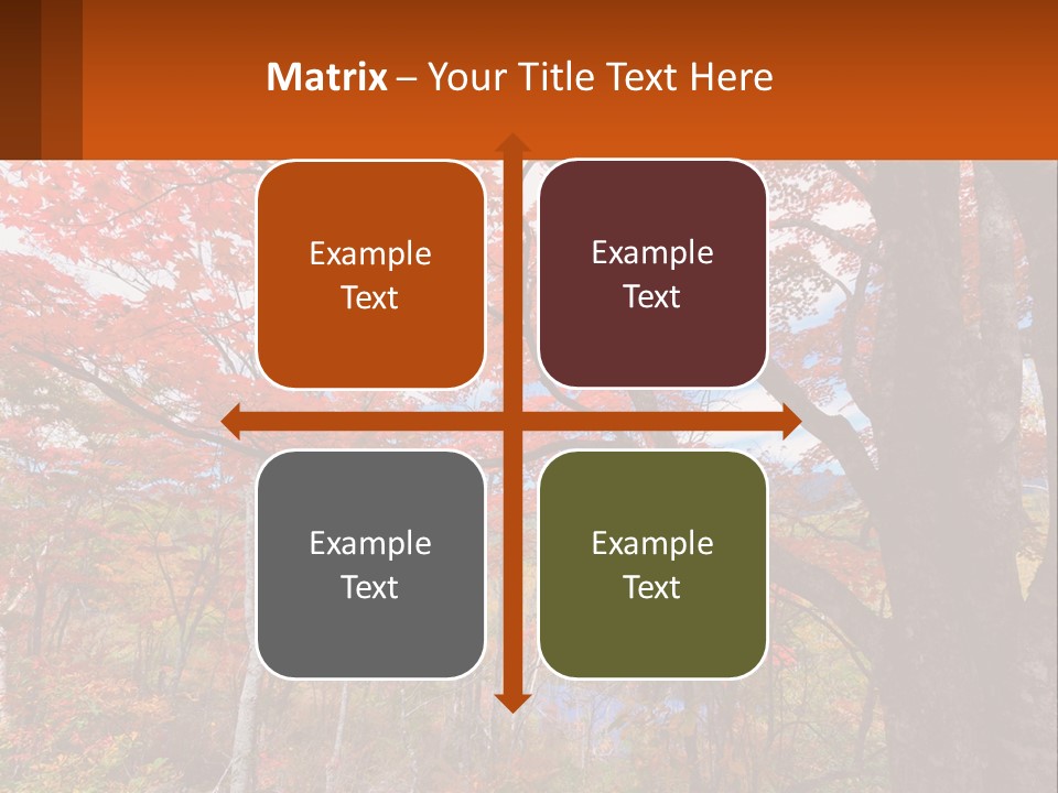 A Tree With Red Leaves In A Forest PowerPoint Template