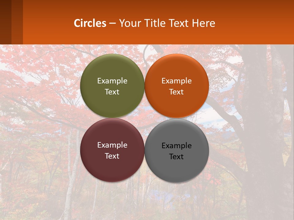 A Tree With Red Leaves In A Forest PowerPoint Template
