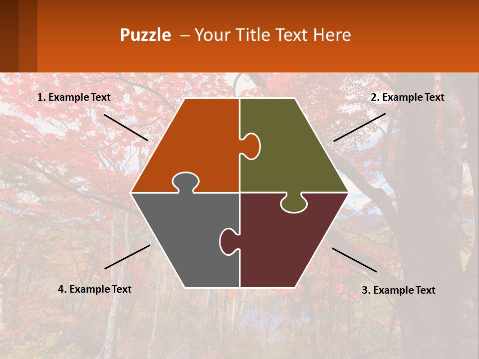 A Tree With Red Leaves In A Forest PowerPoint Template