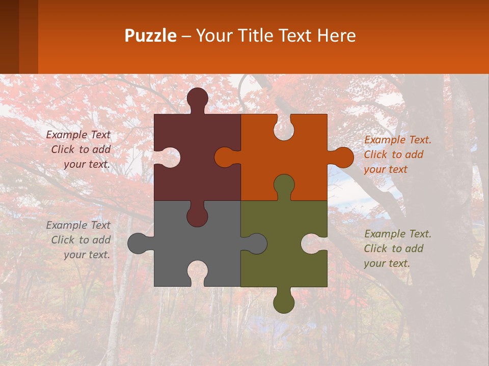 A Tree With Red Leaves In A Forest PowerPoint Template