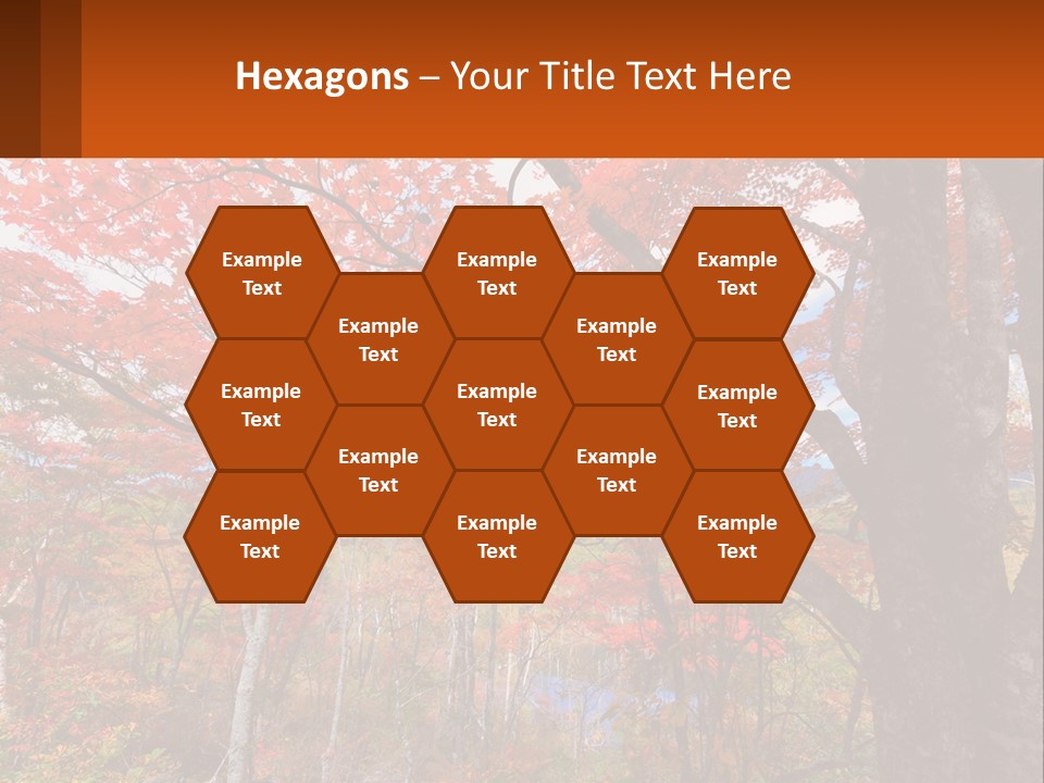 A Tree With Red Leaves In A Forest PowerPoint Template