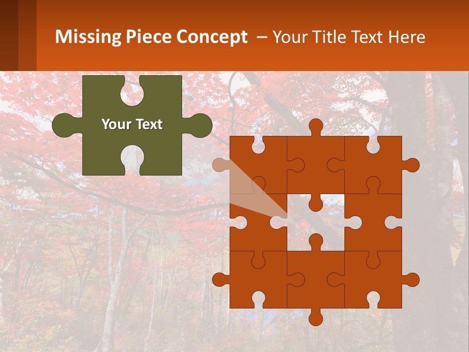 A Tree With Red Leaves In A Forest PowerPoint Template