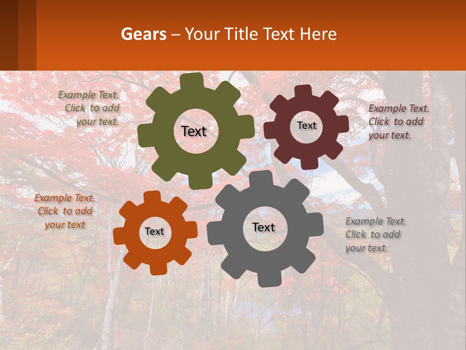 A Tree With Red Leaves In A Forest PowerPoint Template