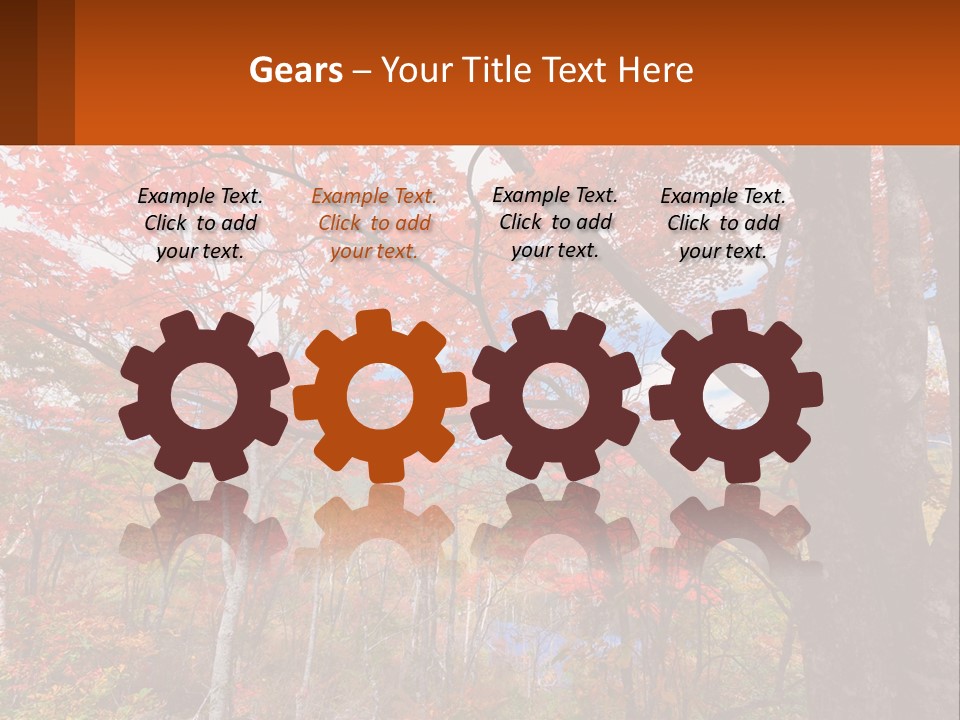 A Tree With Red Leaves In A Forest PowerPoint Template