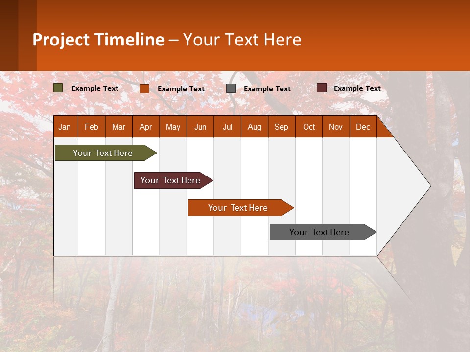 A Tree With Red Leaves In A Forest PowerPoint Template