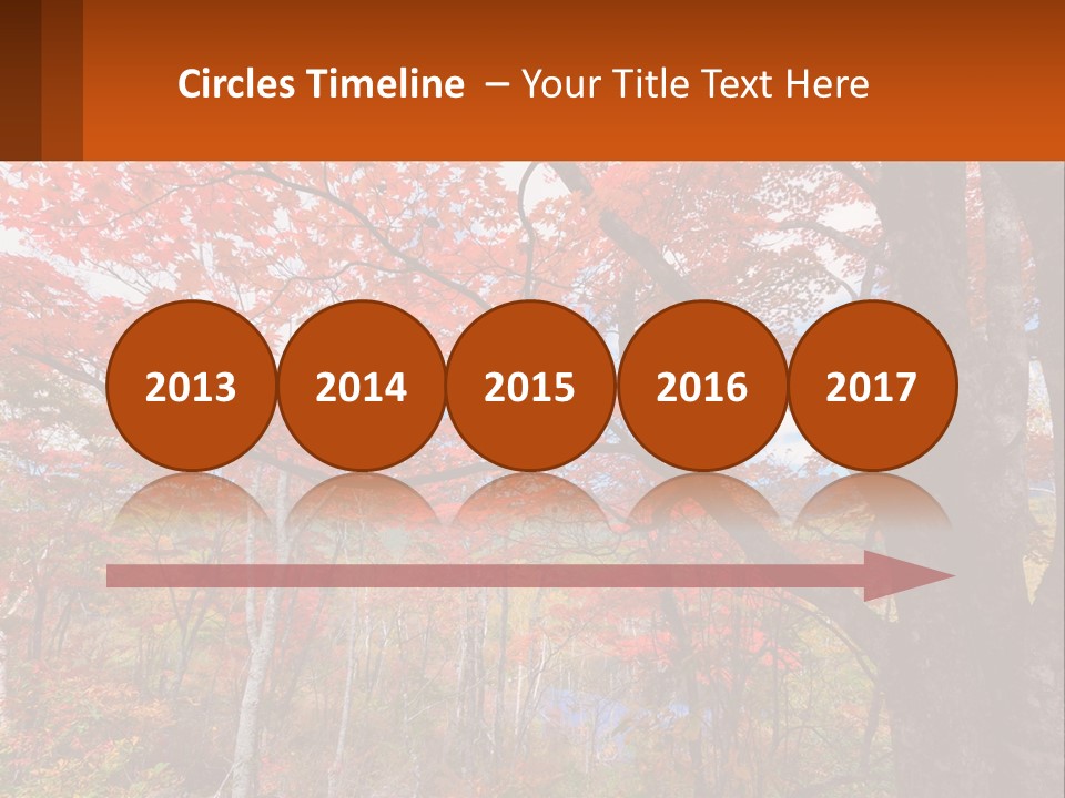 A Tree With Red Leaves In A Forest PowerPoint Template