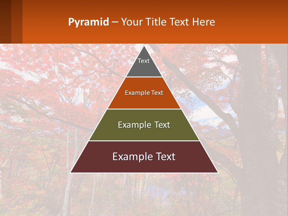 A Tree With Red Leaves In A Forest PowerPoint Template