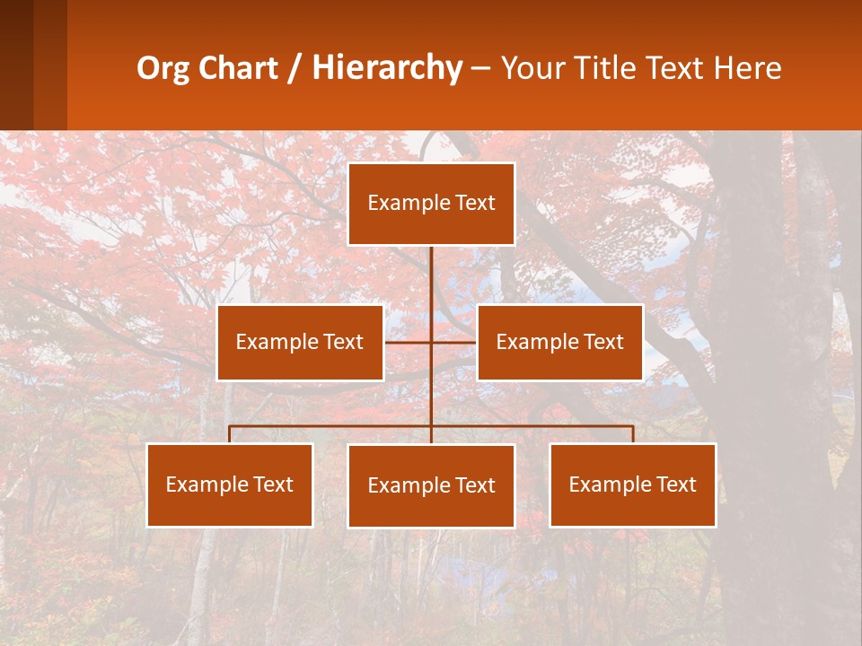 A Tree With Red Leaves In A Forest PowerPoint Template