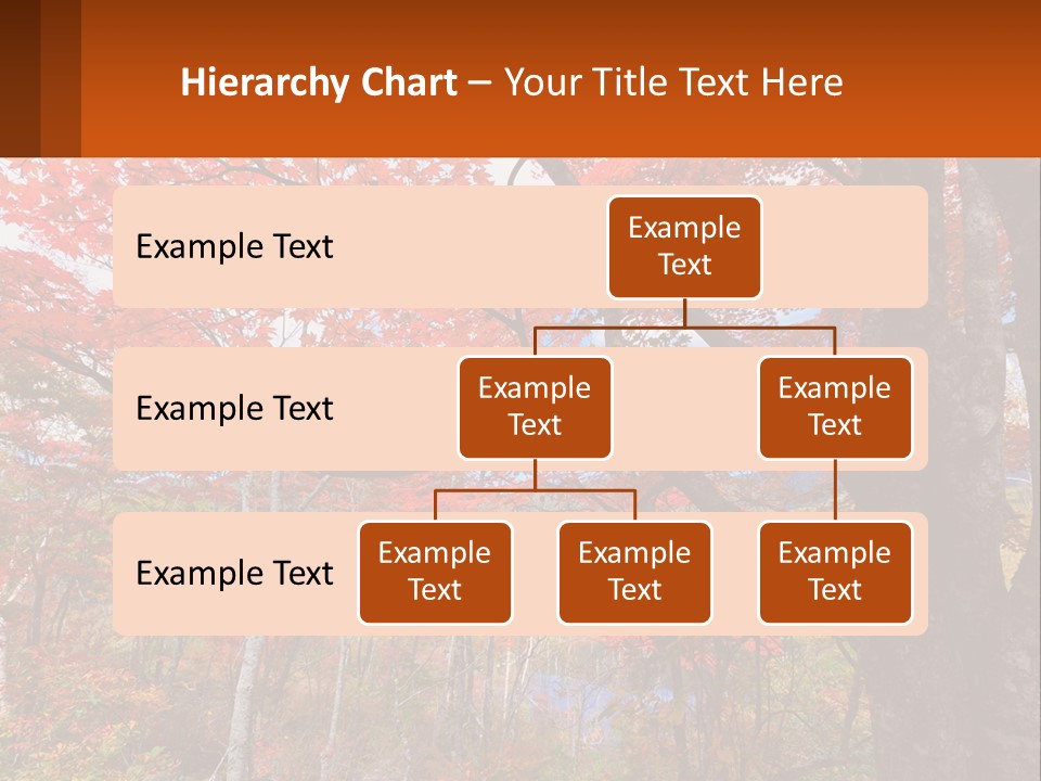 A Tree With Red Leaves In A Forest PowerPoint Template