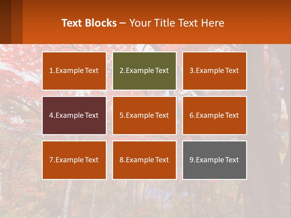 A Tree With Red Leaves In A Forest PowerPoint Template