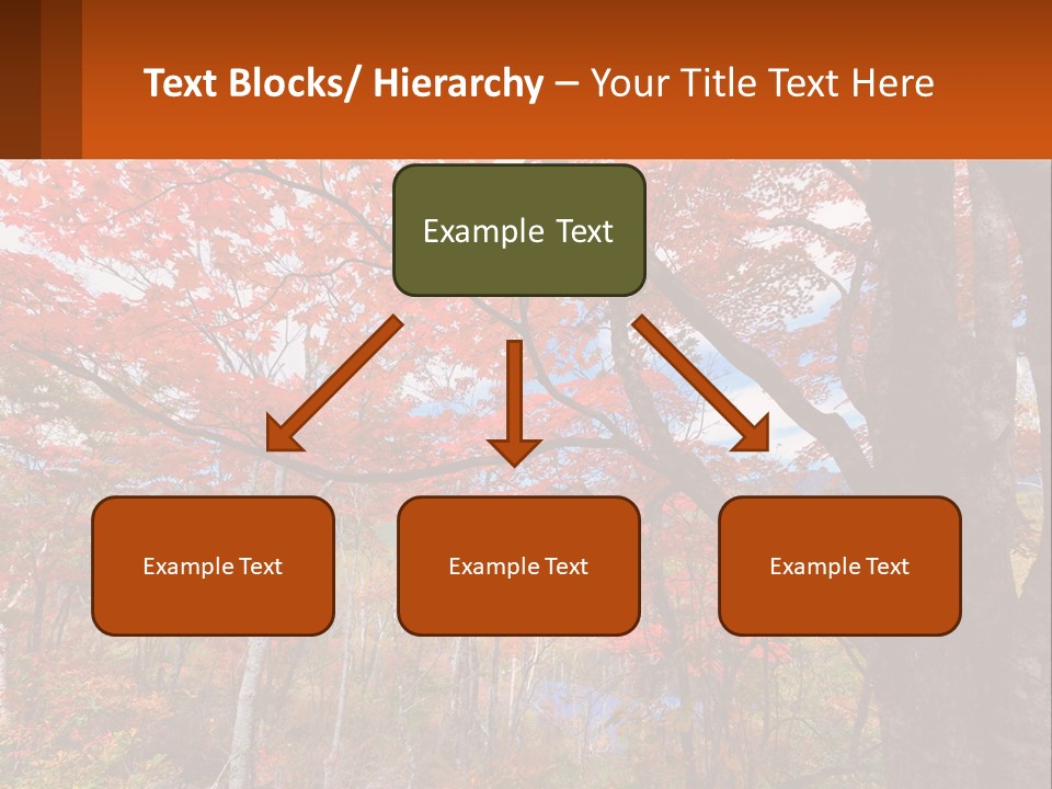 A Tree With Red Leaves In A Forest PowerPoint Template