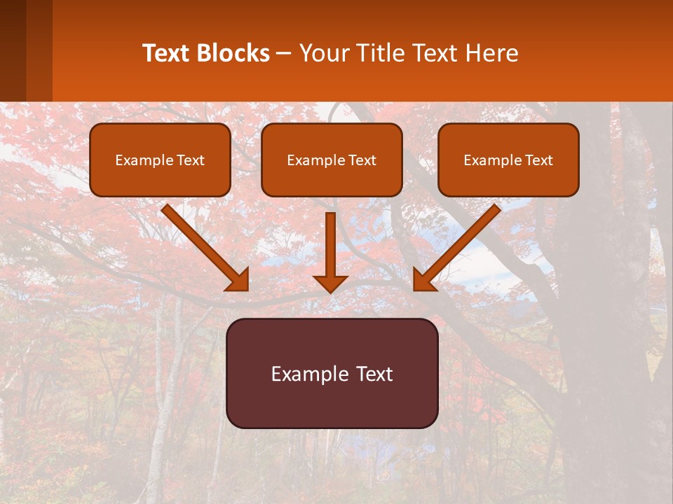 A Tree With Red Leaves In A Forest PowerPoint Template