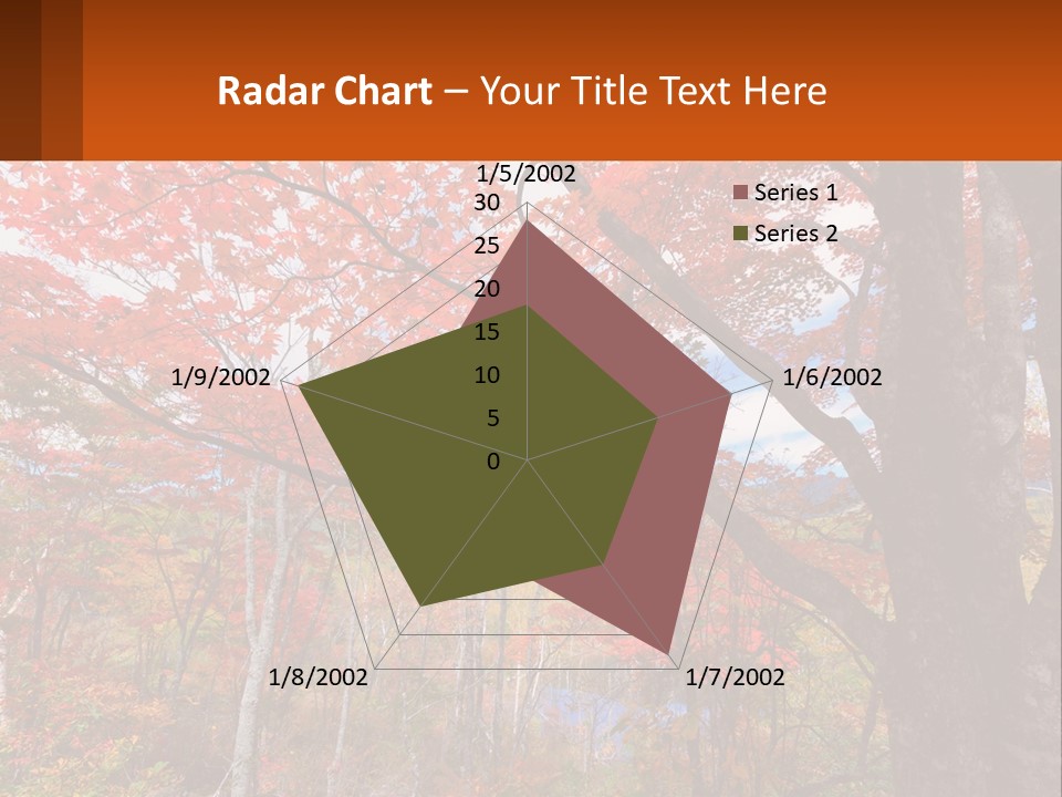 A Tree With Red Leaves In A Forest PowerPoint Template