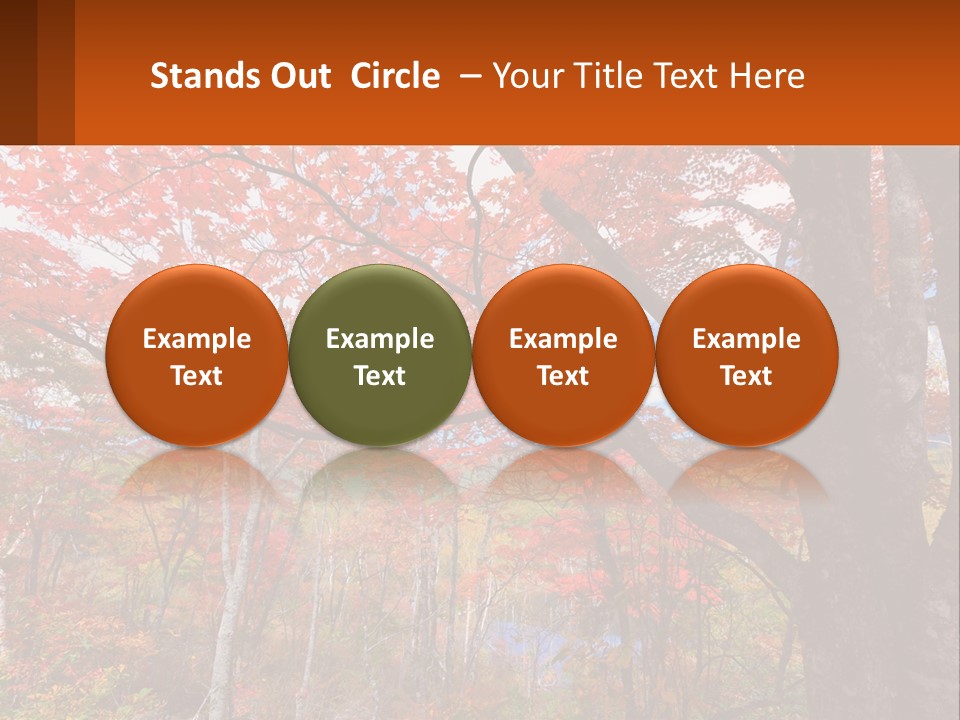 A Tree With Red Leaves In A Forest PowerPoint Template