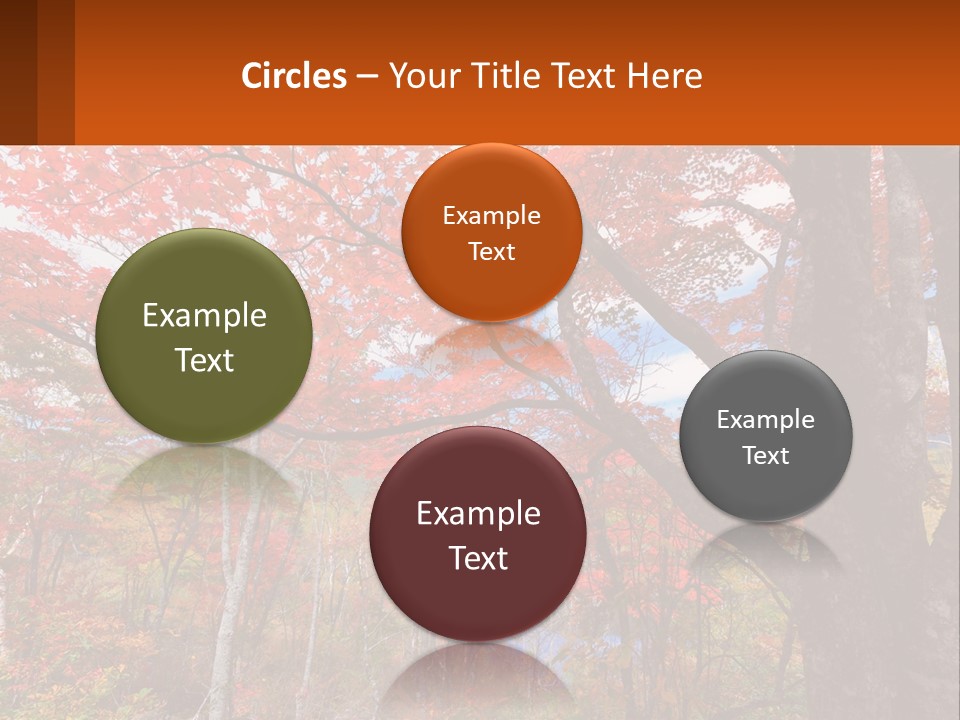 A Tree With Red Leaves In A Forest PowerPoint Template