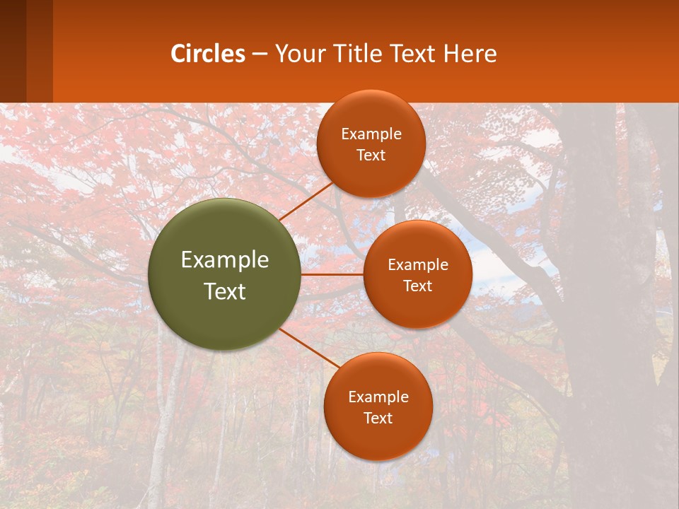 A Tree With Red Leaves In A Forest PowerPoint Template