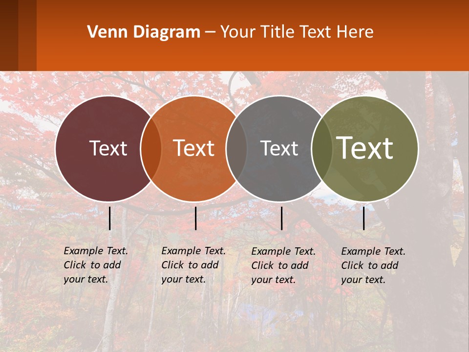 A Tree With Red Leaves In A Forest PowerPoint Template