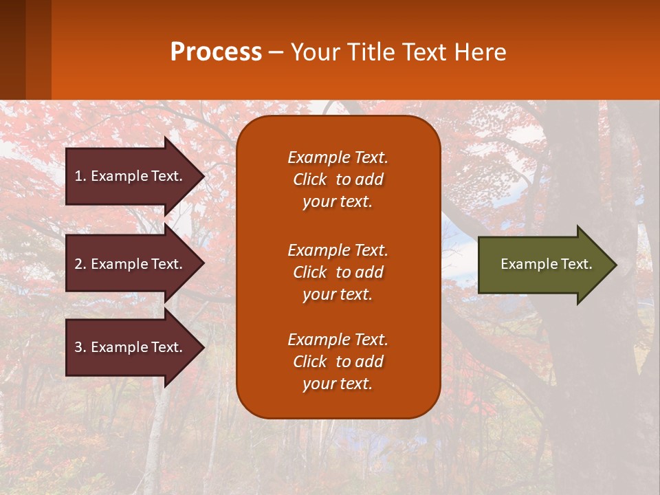A Tree With Red Leaves In A Forest PowerPoint Template