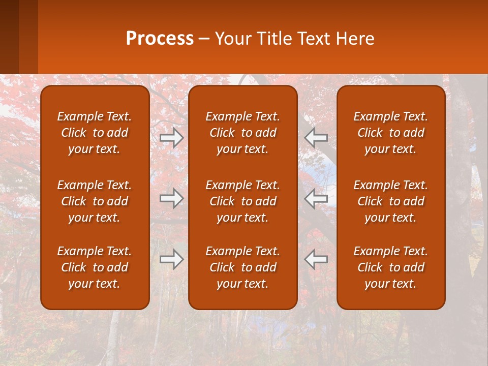 A Tree With Red Leaves In A Forest PowerPoint Template