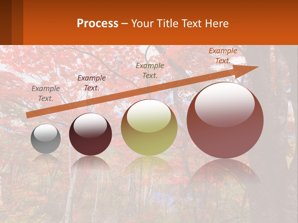 A Tree With Red Leaves In A Forest PowerPoint Template