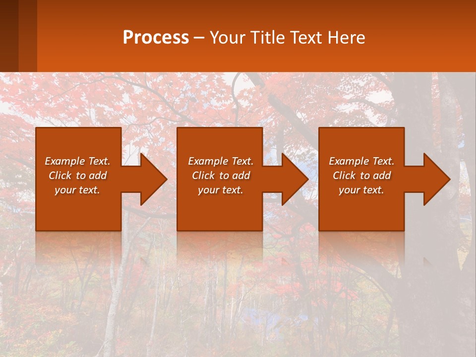 A Tree With Red Leaves In A Forest PowerPoint Template