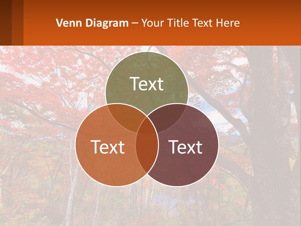 A Tree With Red Leaves In A Forest PowerPoint Template