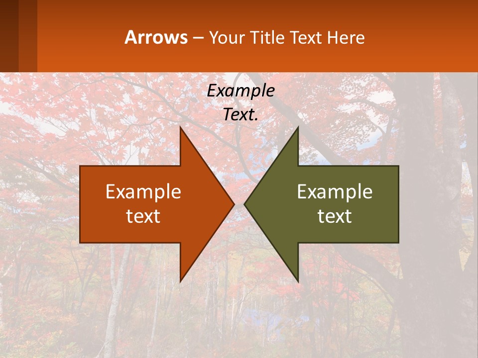A Tree With Red Leaves In A Forest PowerPoint Template